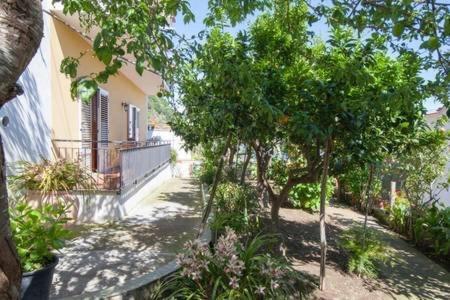 B&B Miccio Sorrente Extérieur photo